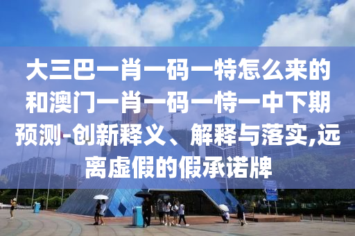 大三巴一肖一碼一特怎么來(lái)的和澳門一肖一碼一恃一中下期預(yù)測(cè)-創(chuàng)新釋義、解釋與落實(shí),遠(yuǎn)離虛假的假承諾牌