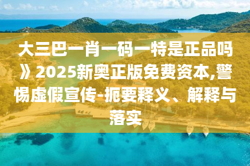 大三巴一肖一碼一特是正品嗎》2025新奧正版免費(fèi)資本,警惕虛假宣傳-扼要釋義、解釋與落實(shí)