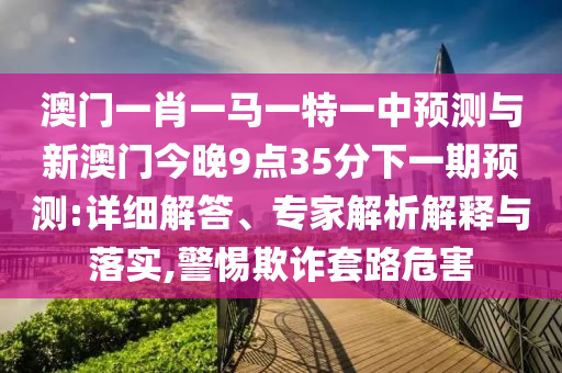 澳門一肖一馬一特一中預(yù)測與新澳門今晚9點(diǎn)35分下一期預(yù)測:詳細(xì)解答、專家解析解釋與落實(shí),警惕欺詐套路危害