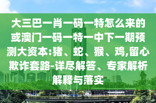 大三巴一肖一碼一特怎么來的或澳門一碼一特一中下一期預(yù)測大資本:豬、蛇、猴、雞,留心欺詐套路-詳盡解答、專家解析解釋與落實