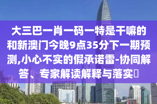 大三巴一肖一碼一特是干嘛的和新澳門今晚9點35分下一期預(yù)測,小心不實的假承諾雷-協(xié)同解答、專家解讀解釋與落實?